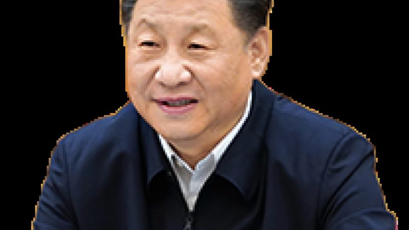 化工产品代理加盟：区域保护的重要性与实施策略